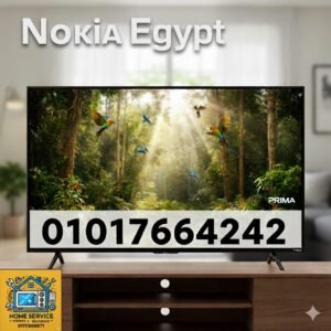 مركز صيانة شاشات نوكيا ايجيبت 01111500871